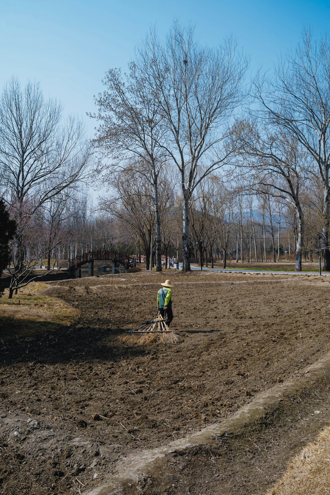 young man cleaning park