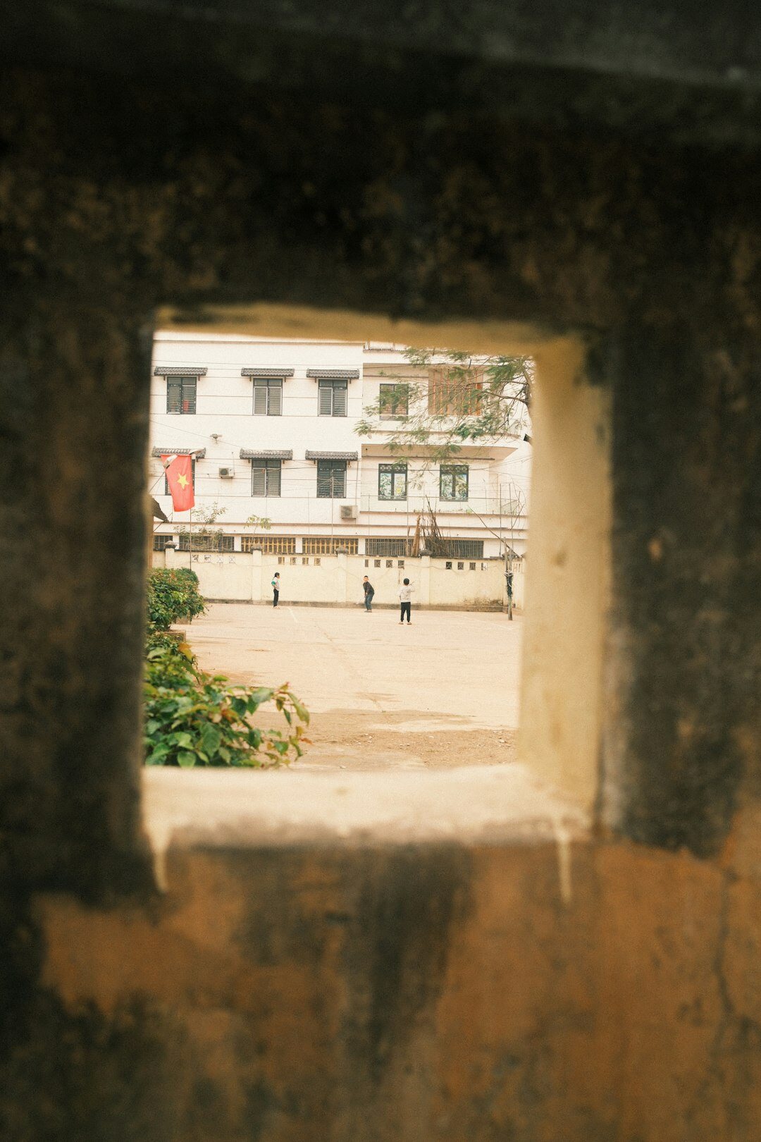 children playing in schoolyard