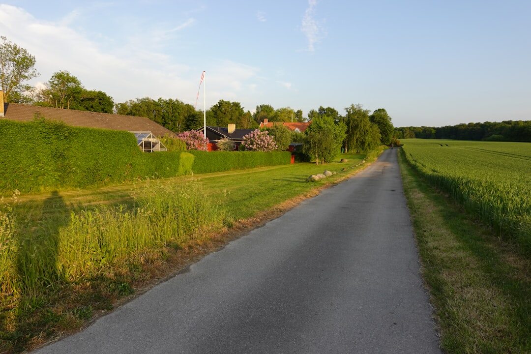 danish rural landscape